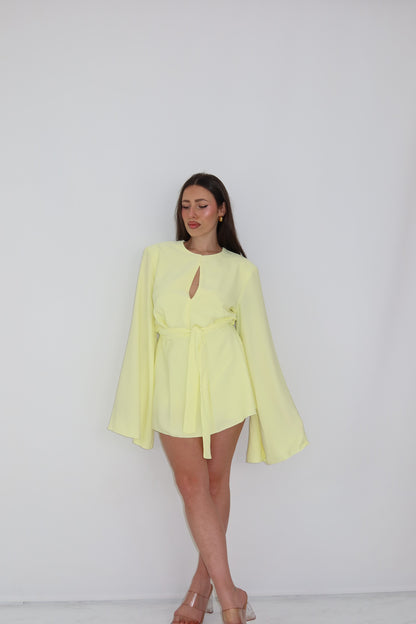 Mono Irlanda Amarillo