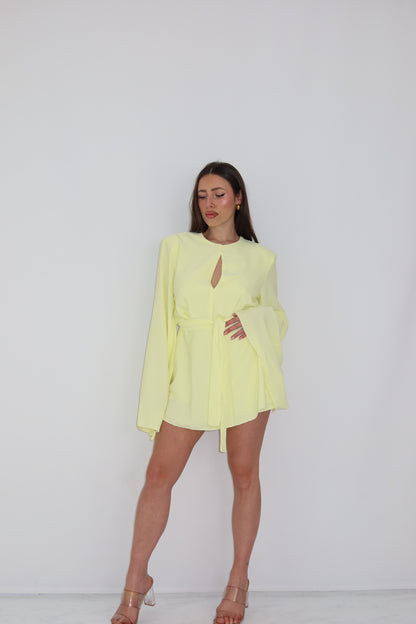 Mono Irlanda Amarillo