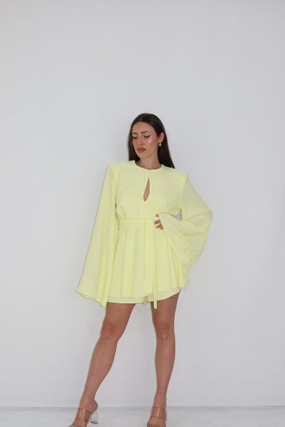 Mono Irlanda Amarillo